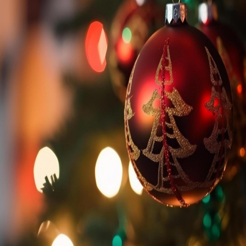 Una temporada de gratitud y celebración